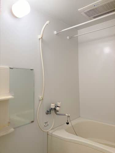 タートルテイルの浴室