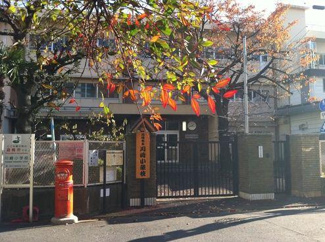 【周辺】 | 川崎小学校