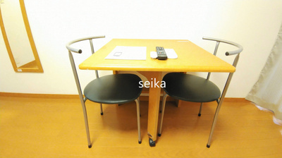 【設備】 | セレーヌ新高円寺 | １階はフローリング、２階はカーペットになります。