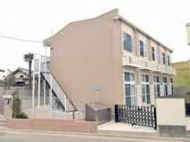 プリムラの画像