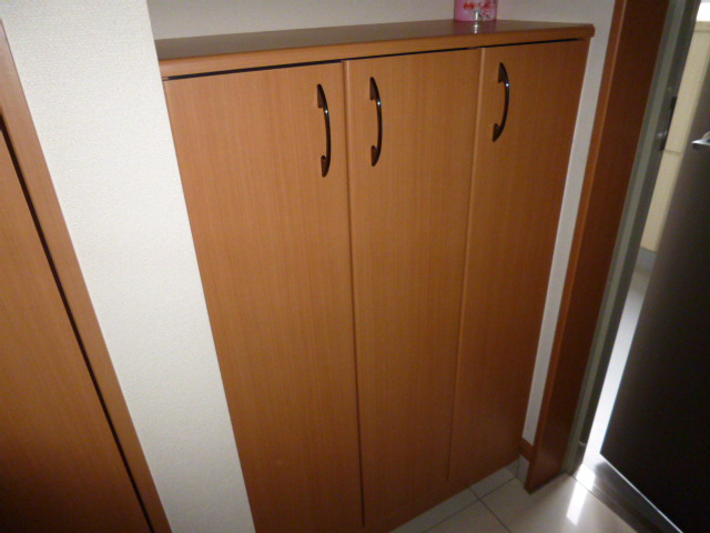 アメニティーハイツYの内装|シューズボックス