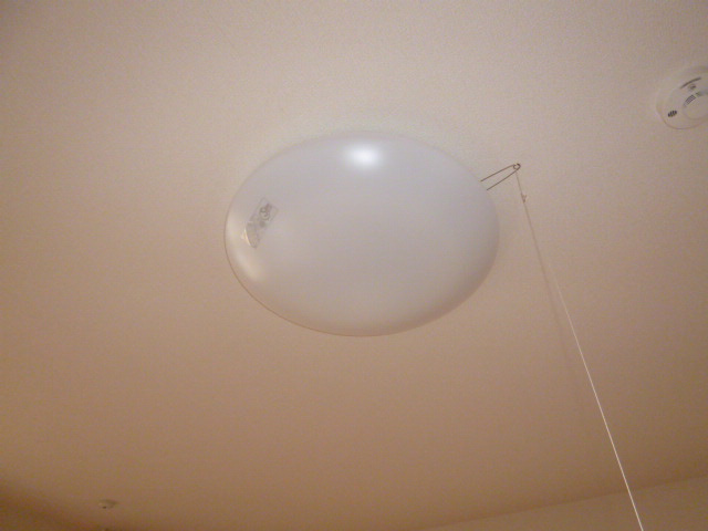 アメニティーハイツYの設備|照明