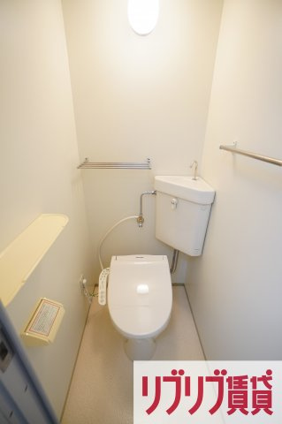 メゾン・ド・ディマンシェのトイレ