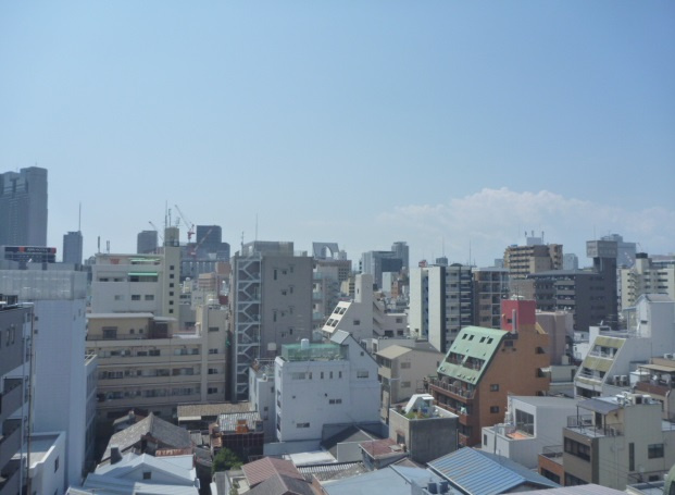 キャピトル安堂寺　BRAVI不動産の展望|【キャピトル安堂寺】眺望