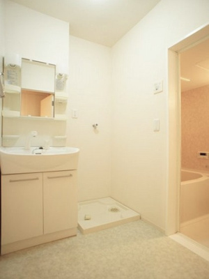 【独立洗面台】 | ライネスハイムＡ | 洗髪洗面化粧台と洗濯機置き場があります♪