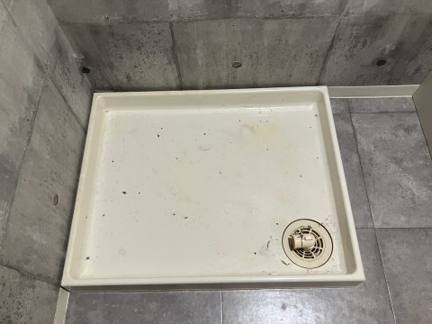 アールズコートのその他