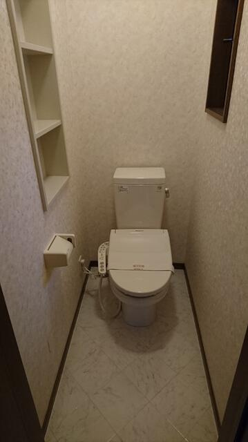 ヴェルドミールのトイレ