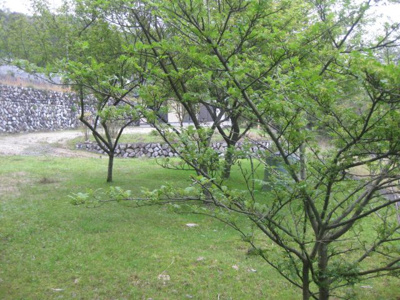 【外観】 | 大津市北小松1314-2,3　売土地 | 敷地内別カット