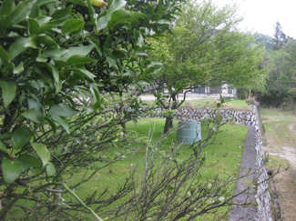 【前面道路含む現地写真】 | 敷地と前面道路を確認カット