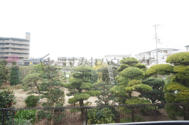 シャルムオーリンⅡの展望|のどかな緑の景色が広がる眺望です。