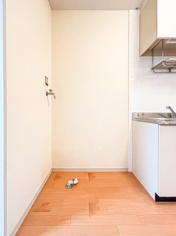 グリーンビューA棟の洗面所