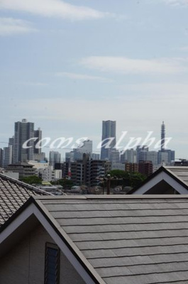 【展望】 | M.T.J urashima hills |  M.T.J urashima hills　眺望