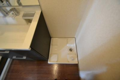 シャトーパルモア阪急六甲の洗面所