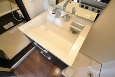 シャトーパルモア阪急六甲の洗面所