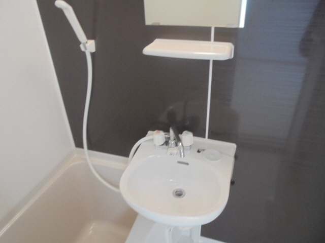 シャレー北野の洗面所