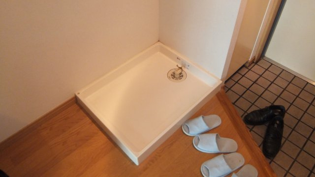 ピアリーさつきの洗面所|室内洗濯機置場ございます