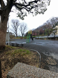 【周辺】 | 綱島公園