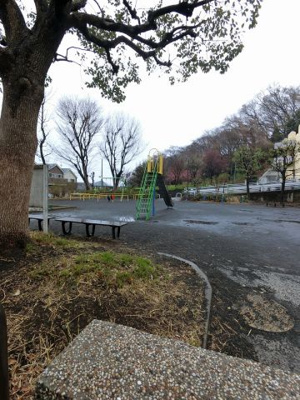 【周辺】 | コスモ綱島台第３ | 綱島公園