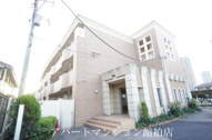 ルピナスの画像