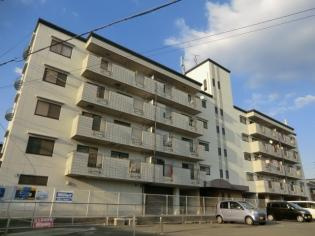 【外観】 | 岩崎ハイツ | 落ち着いた雰囲気の外観です