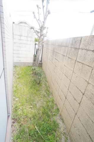 シャルムオーリンⅠの庭