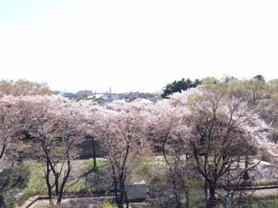 【展望】 | 美しが丘コーポ | 春には部屋から桜を望むことが出来ます♪