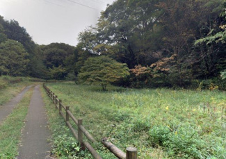 【周辺】 | 北八朔公園