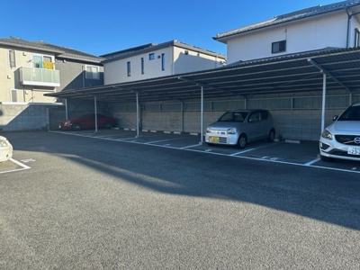  | 野入モータープール