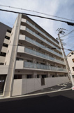 Ｓｏｌｅｉｌ　Ｌｅｖａｎｔの画像