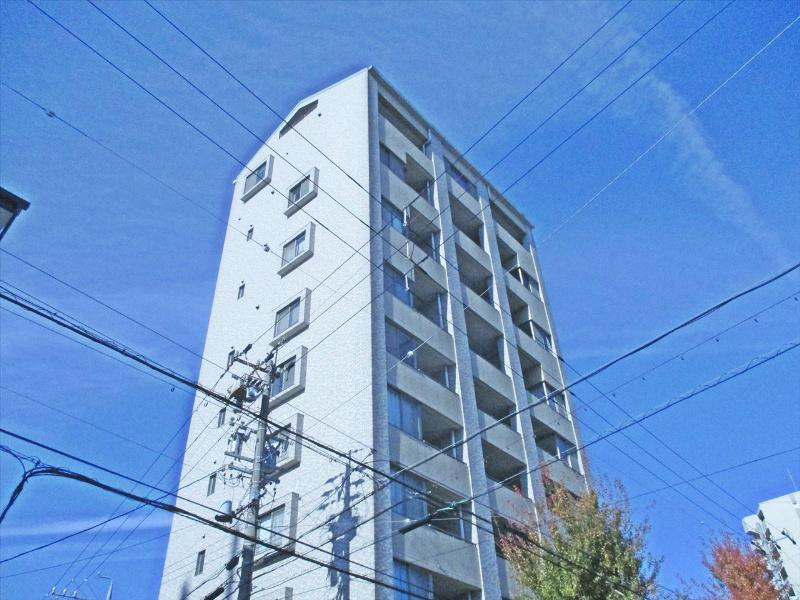 オスマンサスフラグラスの外観