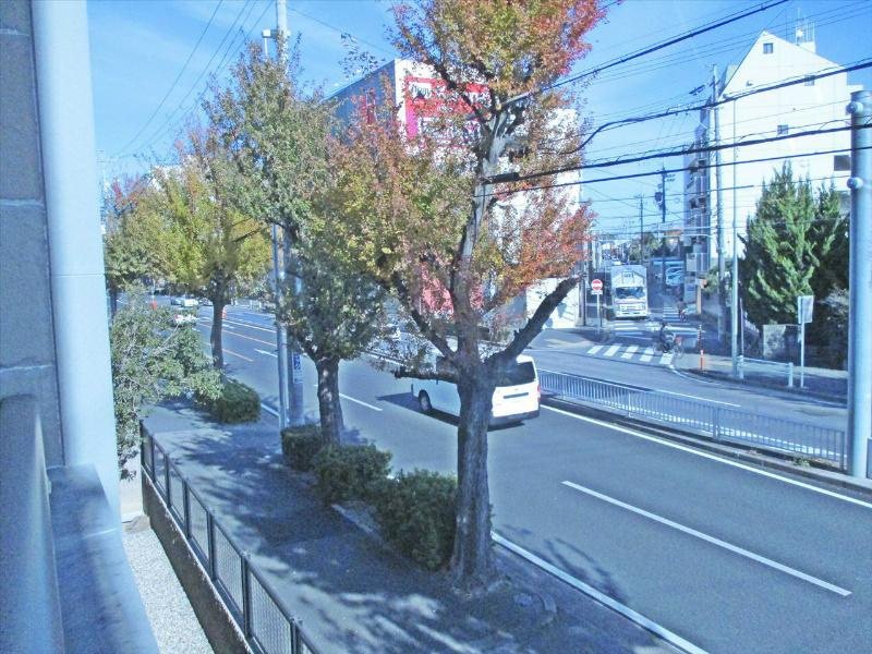 オスマンサスフラグラスの展望