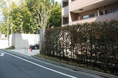 【外観】 | イーリスコート桜上水