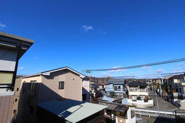 パルシオンの展望