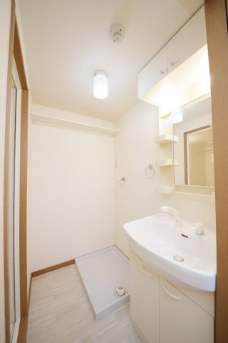 Limpia高峯の洗面所