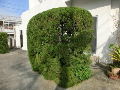 【外観】 | 宮城戸建