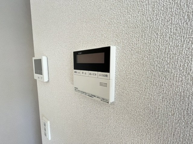 クリサンテーモのその他