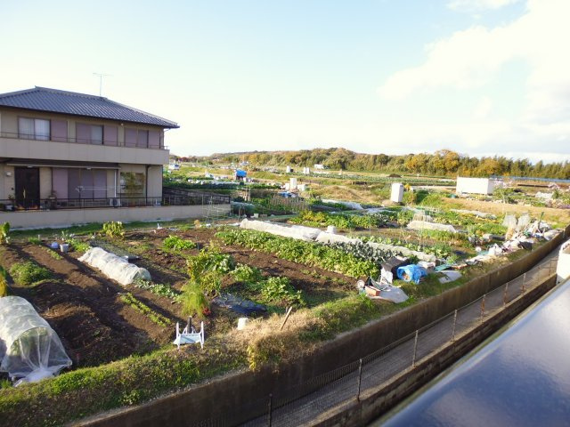 ハイツナカノの展望