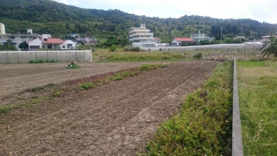 【周辺】 | 南城市知念字久原土地