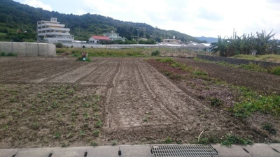 【展望】 | 南城市知念字久原土地