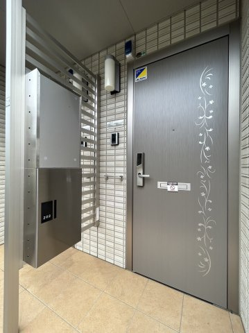 ステラのその他