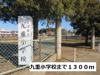 【周辺】