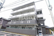 バンブーサンの画像