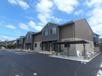 Ｒａｆｆｉｎｅ　Ｂｉｗａの画像