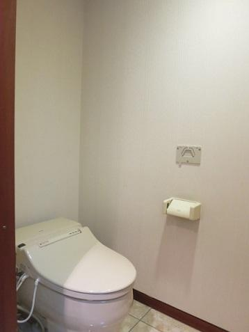 千代田区一番町の賃貸マンションのその他|トイレ