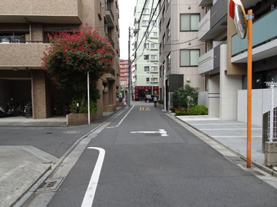 【周辺】 | セザール根岸 | セザール根岸　物件前　尾竹橋通り沿いの物件で夜道安心！