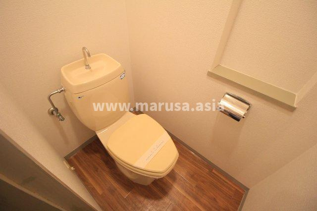 シーラカンスのトイレ