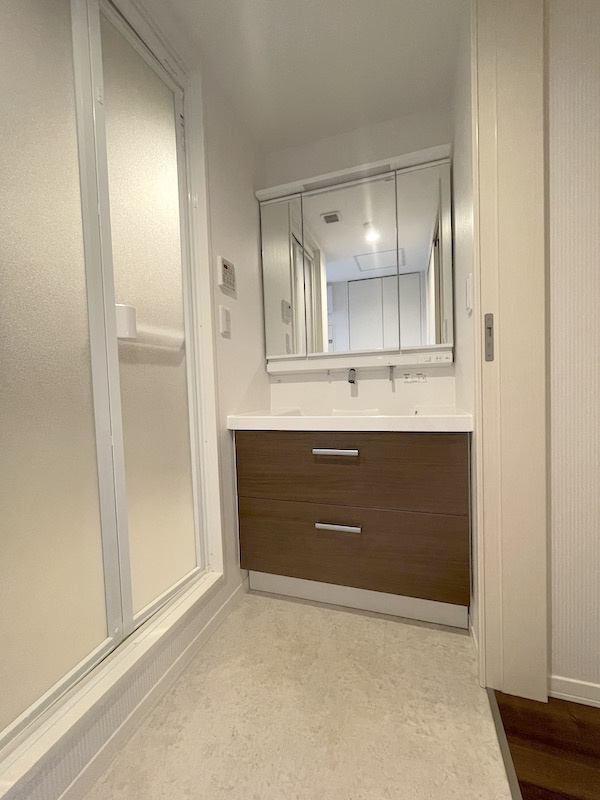 メゾンマスト名須川Cの洗面所