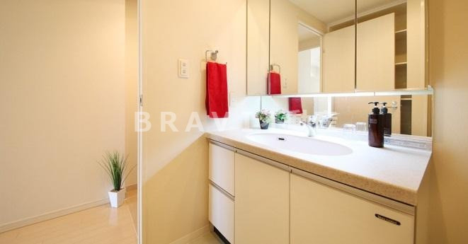 クロスレジデンス大阪新町　BRAVI不動産の洗面所|【ベルファース大阪新町】コンパクトで使いやすい洗面所