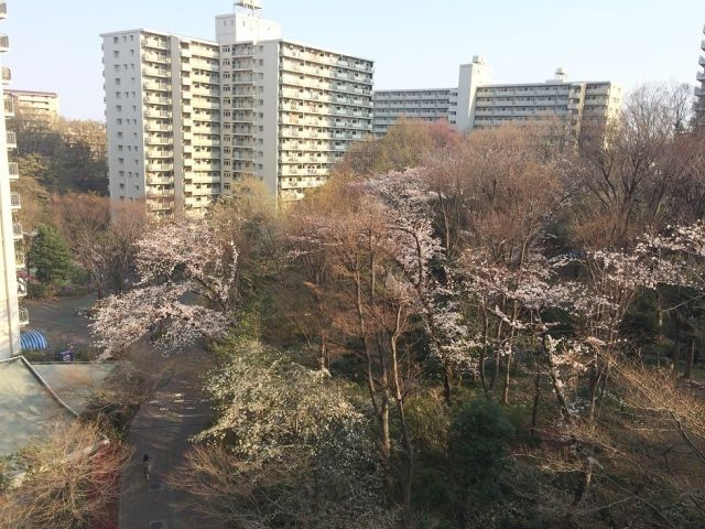 サンシティB棟の展望