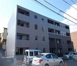 Cherry Amber(チェリーアンバー)の画像